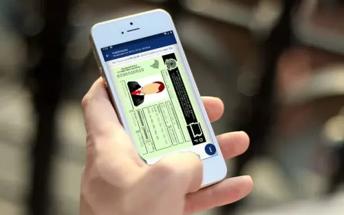 Pode usar CNH digital como documento? Veja como acessar a Carteira de Habilitação Digital